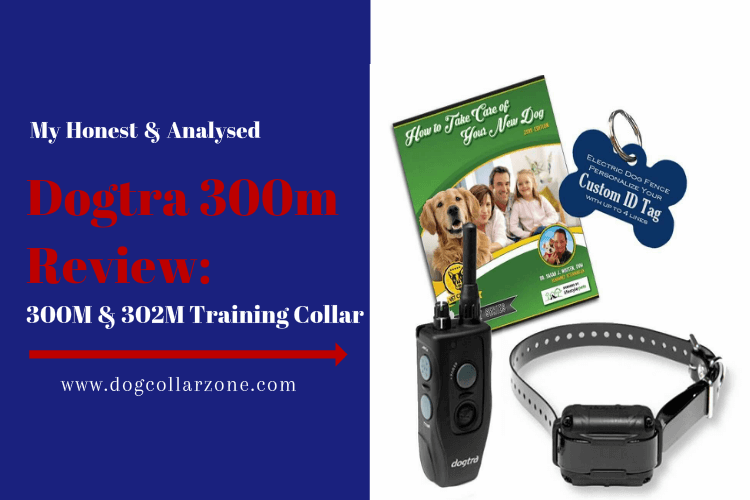 Dogtra 300m Review: 300M 302M Training Collar Review