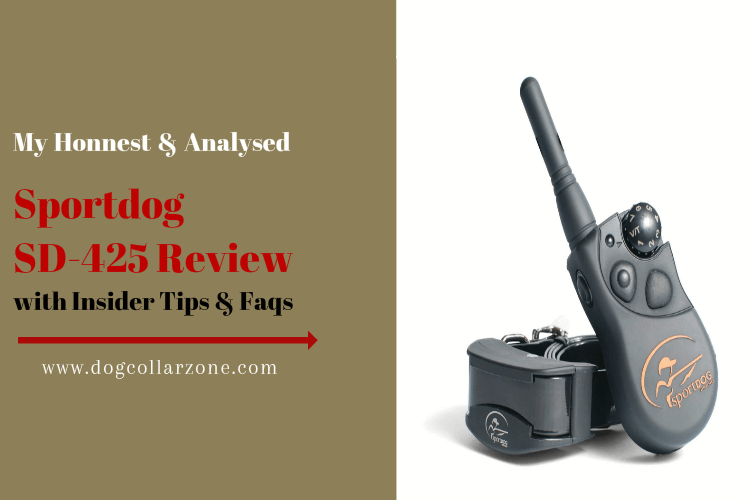 Sportdog SD-425 Review with Insider Tips Faq