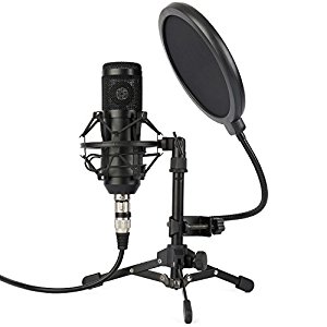 ZINGYOU ZY-801 Microphone