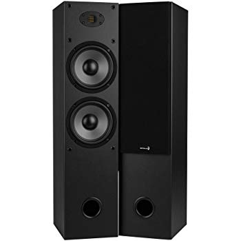 (Best Floor Standing Speakers Under $300) Dayton Audio T652-AIR tower speakers