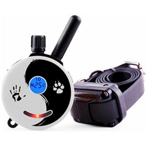 (Best Electronic Dog Collars) Educator E-Collar Remote Dog Training Collar