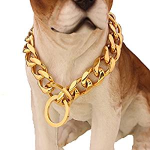 (Best Collars For PitBulls) Silver Phantom Jewelry Dog Collar