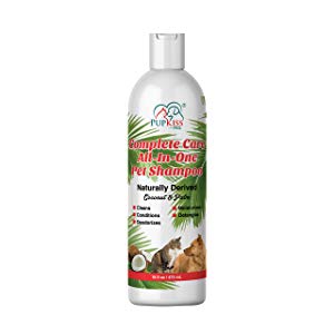 Professional All-in-One Natural Dog Shampoo