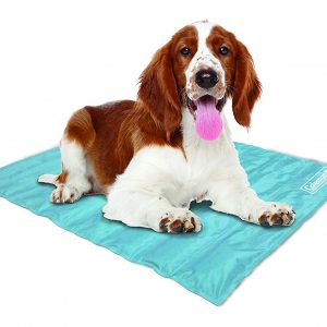 (Best Cooling Mats For Dogs) Coleman Comfort Cooling Gel Pad